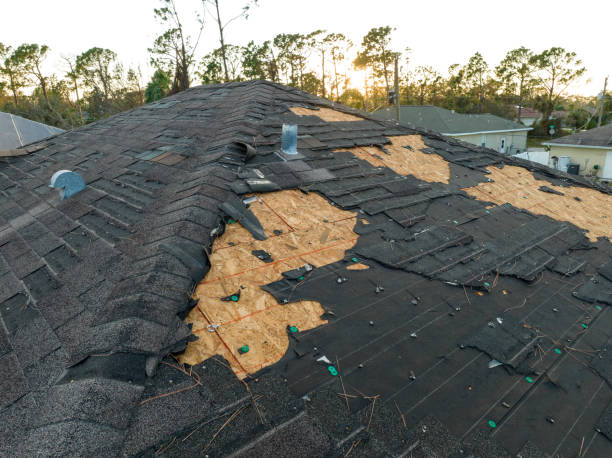 Best Storm Damage Roof Repair  in Meadowlakes, TX